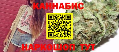 стаф Будённовск