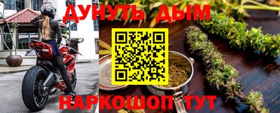 стаф Будённовск