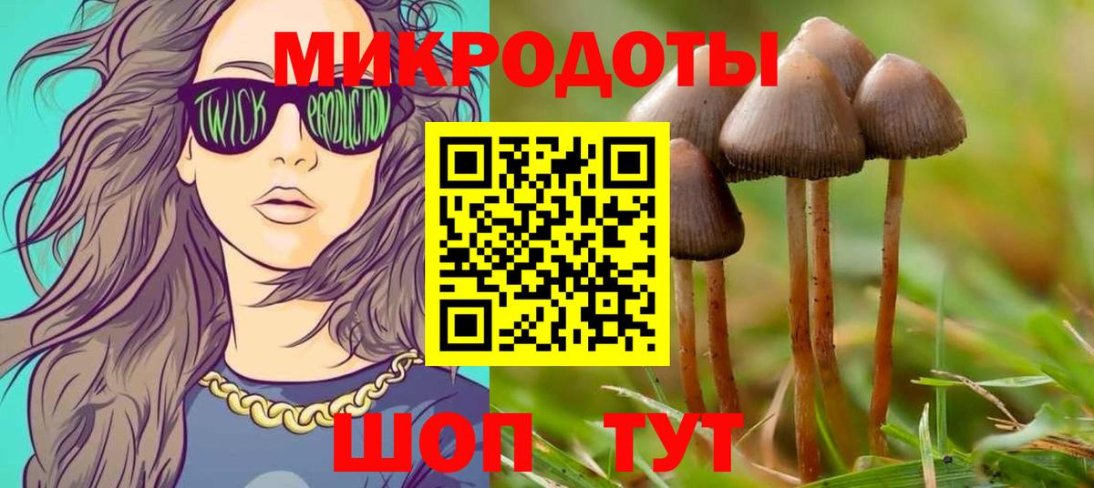 Галлюциногенные грибы Psilocybe  купить наркоту  Хасавюрт  Вход с VPN 
